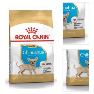 Royal Canin Čivava Junior 1,5 kg 3