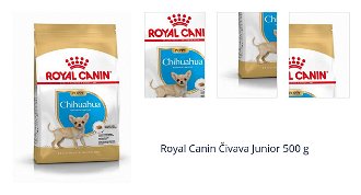 Royal Canin Čivava Junior 500 g 1