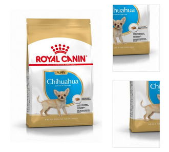 Royal Canin Čivava Junior 500 g 3