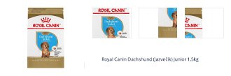 Royal Canin Dachshund (Jazvečík) Junior 1,5kg 1
