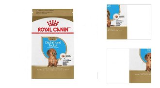 Royal Canin Dachshund (Jazvečík) Junior 1,5kg 3