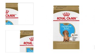 Royal Canin Dachshund (Jazvečík) Junior 1,5kg 4