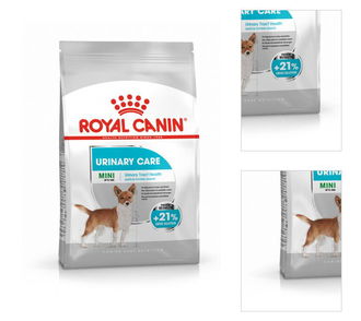 Royal Canin Dog granuly pre psy mini urinary care 1 kg 3