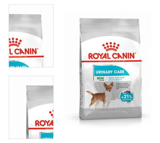 Royal Canin Dog granuly pre psy mini urinary care 1 kg 4