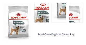 Royal Canin Dog Mini Dental 1 kg 1