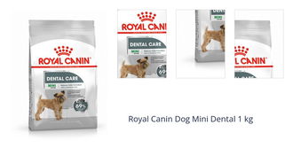 Royal Canin Dog Mini Dental 1 kg 1