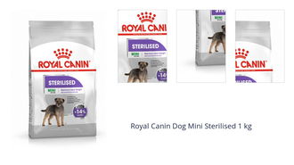 Royal Canin Dog Mini Sterilised 1 kg 1