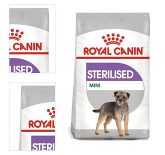 Royal Canin Dog mini sterilised 3 kg 4