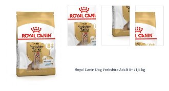 Royal Canin Dog Yorkshire Adult 8+ /1,5 kg 1