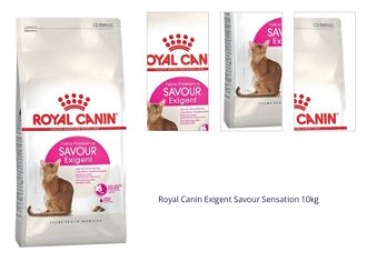Royal Canin Exigent Savour Sensation 10kg 1