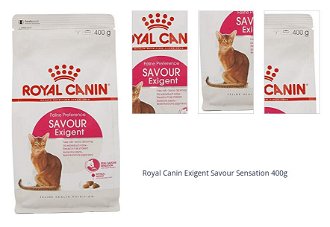 Royal Canin Exigent Savour Sensation 400g 1