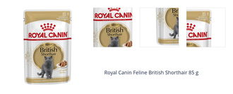 Royal Canin Feline British Shorthair 85 g 1