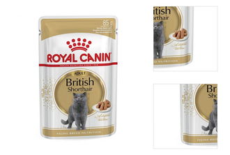 Royal Canin Feline British Shorthair 85 g 3