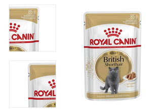 Royal Canin Feline British Shorthair 85 g 4