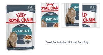 Royal Canin Feline Hairball Care 85g 1