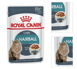 Royal Canin Feline Hairball Care 85g 3