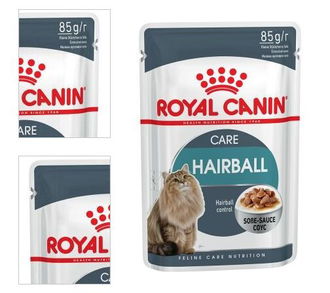 Royal Canin Feline Hairball Care 85g 4