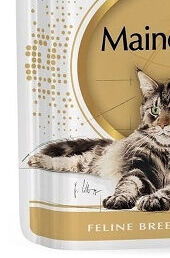 Royal Canin Feline Maine Coon 85 g 8