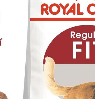 Royal Canin FIT - 10kg 5