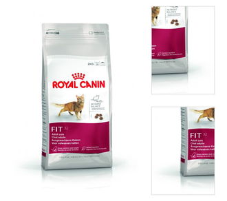 Royal Canin Fit 2kg 3