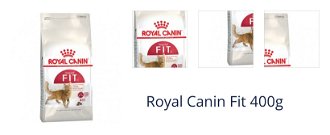 Royal Canin Fit 400g 1