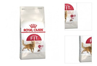 Royal Canin Fit 400g 3