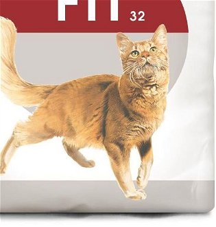 Royal Canin FIT - 400g 9