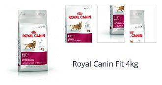 Royal Canin Fit 4kg 1