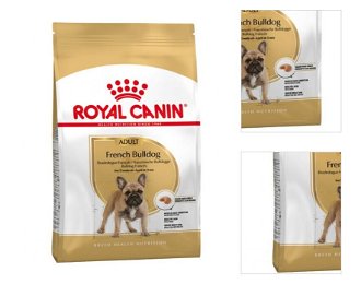 Royal Canin Francúzsky Buldoček Adult 1,5 kg 3