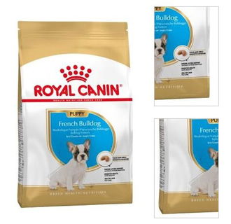 Royal Canin Francúzsky Buldoček Puppy 3 kg 3