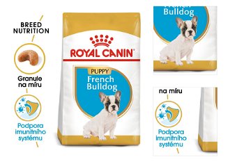 Royal Canin FRENCH BULLDOG JUNIOR - 1kg 3