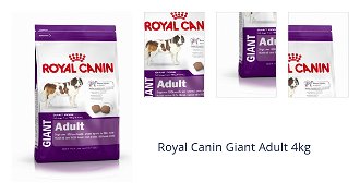 Royal Canin Giant Adult 4kg 1