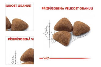 Royal Canin Indoor 10kg 4