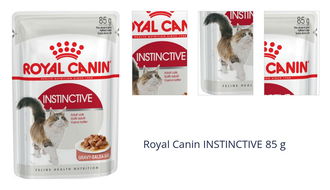 Royal Canin INSTINCTIVE 85 g 1