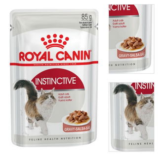 Royal Canin INSTINCTIVE 85 g 3