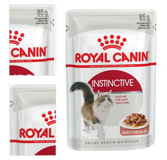 Royal Canin INSTINCTIVE 85 g 4