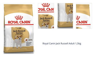 Royal Canin Jack Russell Adult 1,5kg 1