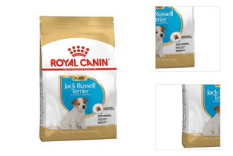 Royal Canin Jack Russell Junior 1,5kg 3