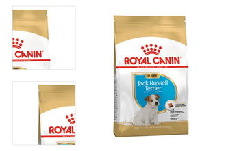 Royal Canin Jack Russell Junior 1,5kg 4