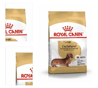 Royal Canin JAZVEČÍK - 1,5kg 4