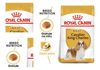 Royal Canin KAVALIER KING CHARLES - 1,5kg 4