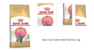 Royal Canin Kitten British Shorthair 2kg 1