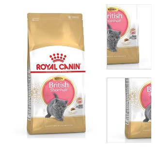 Royal Canin Kitten British Shorthair 2kg 3