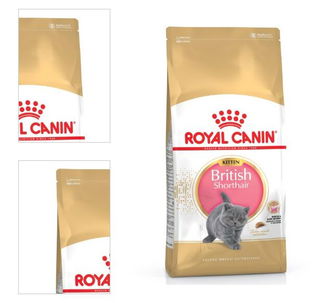 Royal Canin Kitten British Shorthair 400 g 4