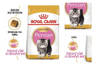 Royal Canin KITTEN PERSKÁ - 10kg 3