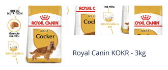 Royal Canin KOKR - 3kg 1
