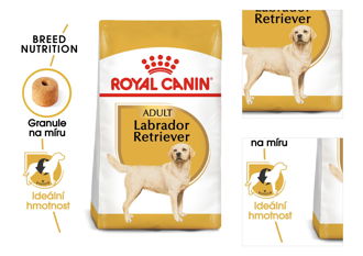 Royal Canin LABRADOR - 12kg 3