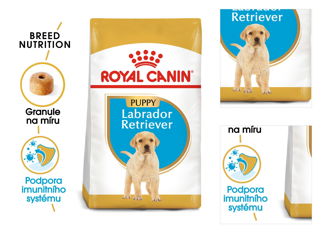 Royal Canin LABRADOR JUNIOR - 12kg 3