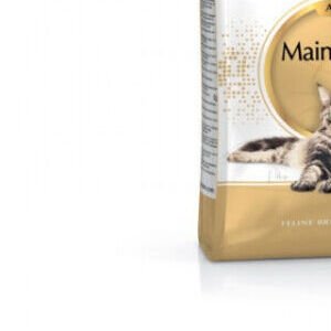 Royal Canin Maine coon 10 kg 8