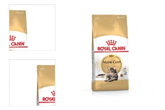 Royal Canin Maine coon 10 kg 4
